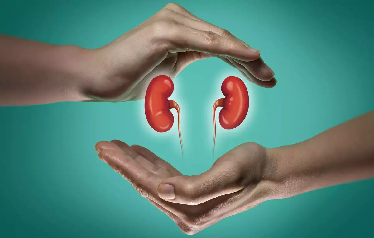 How Ayurvedic Treatments Can Cure Kidney Diseases.